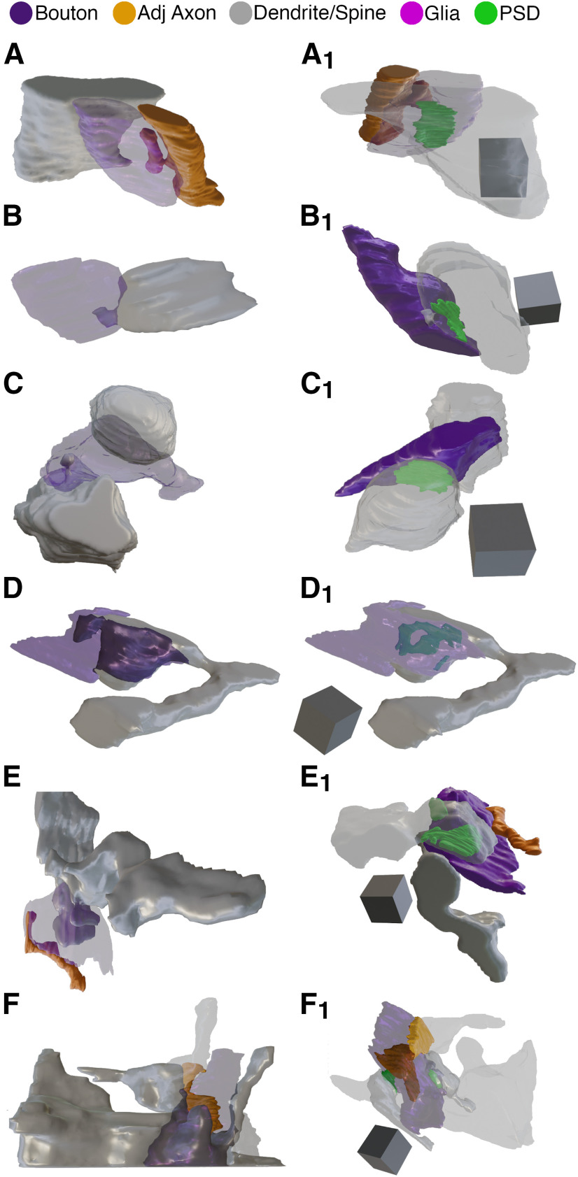 Figure 5.