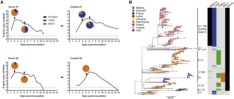 Figure 1