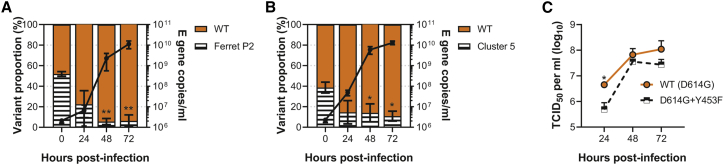 Figure 4