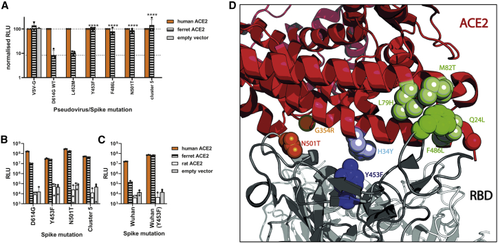 Figure 3