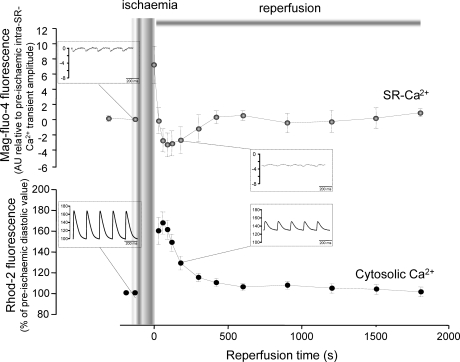 Figure 6