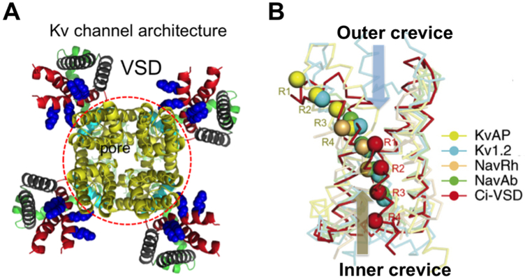 Figure 2: