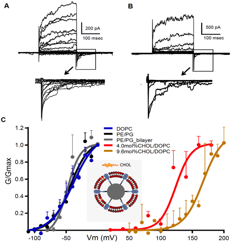 Figure 6: