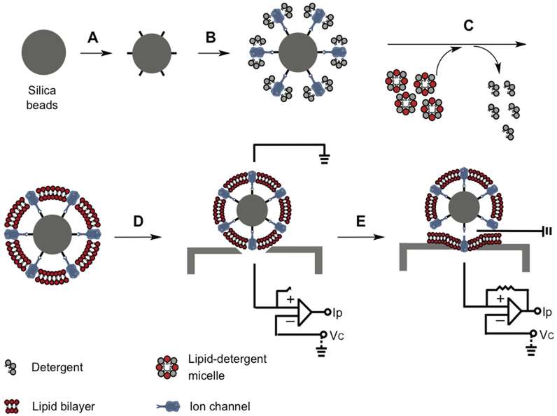 Figure 4: