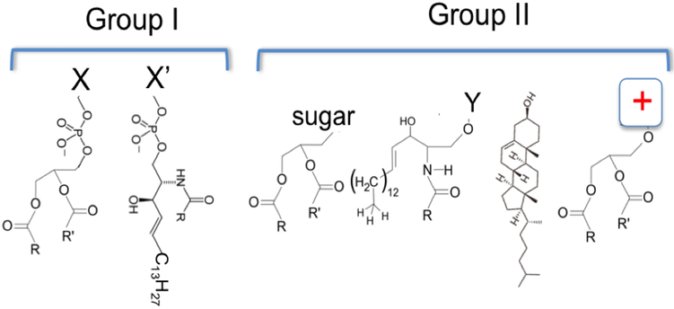 Figure 1: