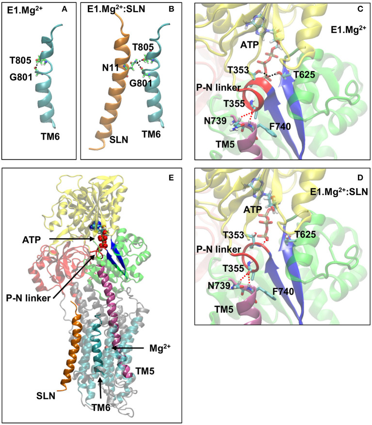 Figure 7