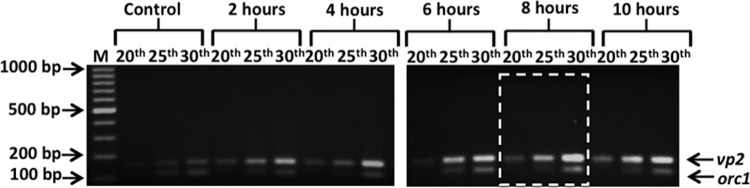 FIG 2