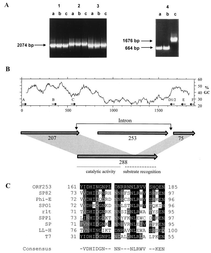 FIG. 1