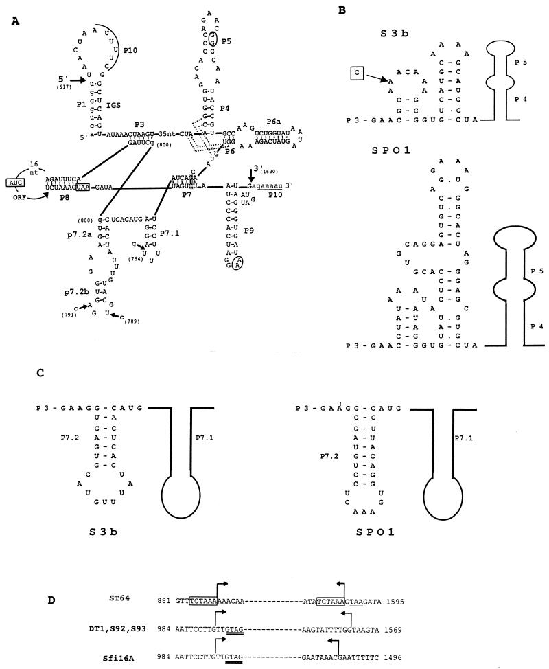 FIG. 3