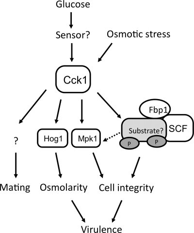 Fig. 9.