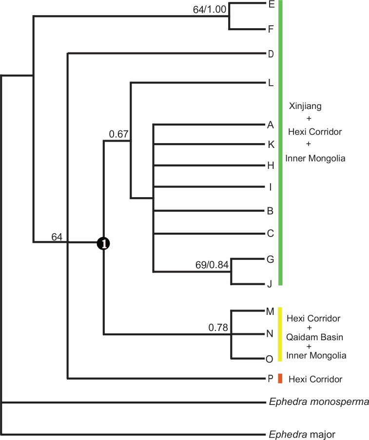 Fig 3