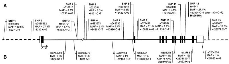 FIG. 1