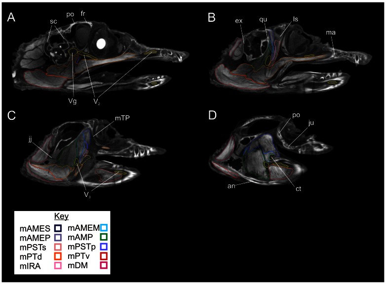 Figure 6