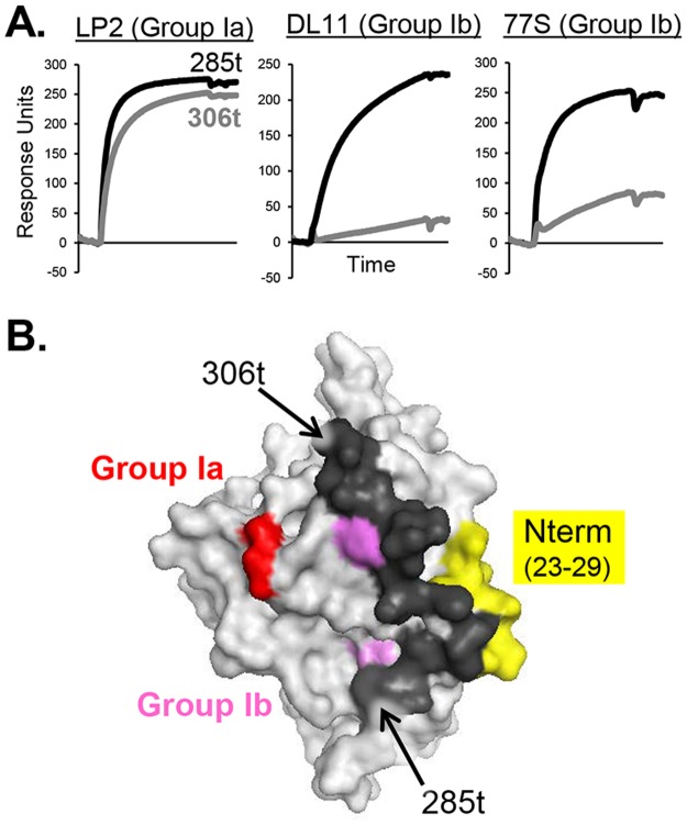 Fig 5