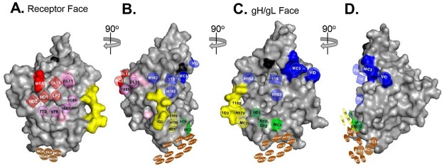 Fig 6