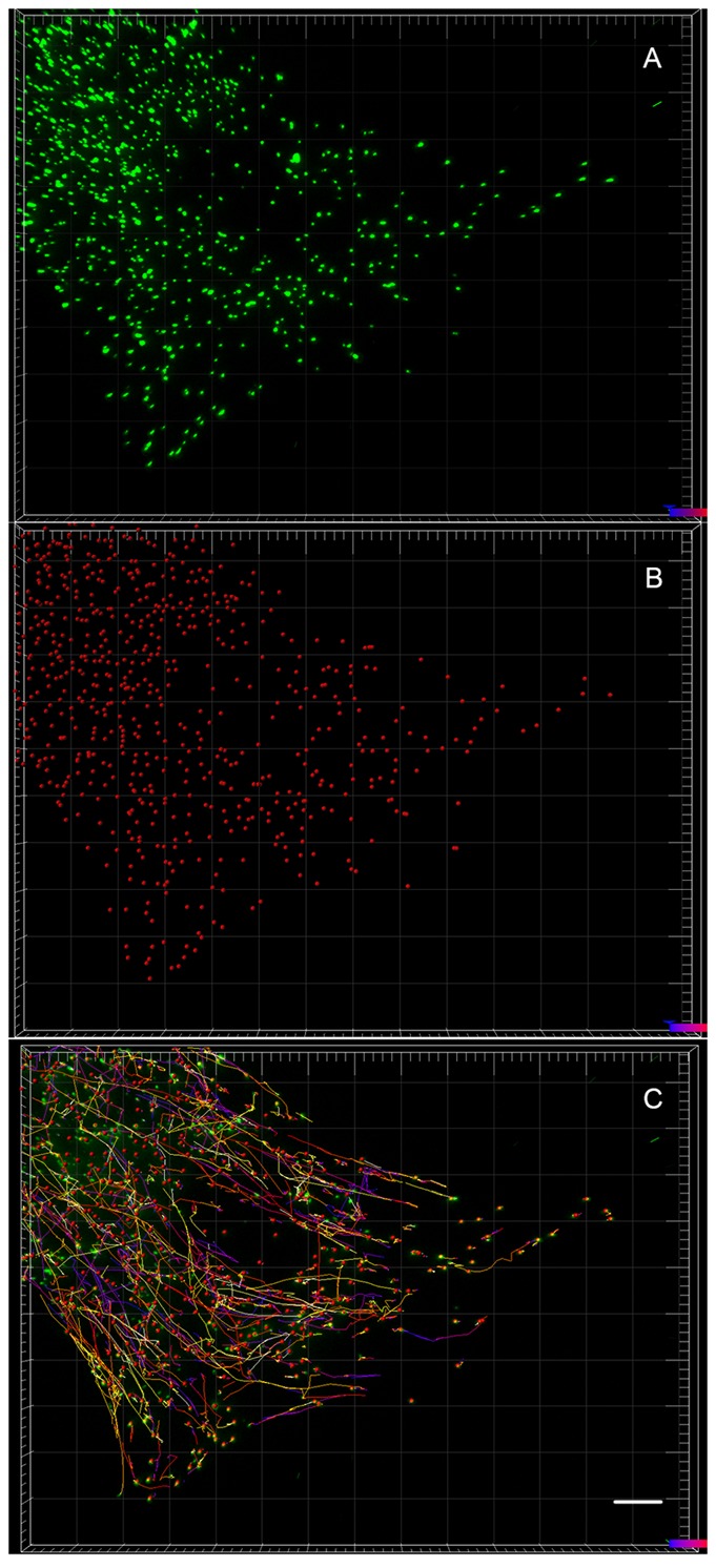 Fig. 3.