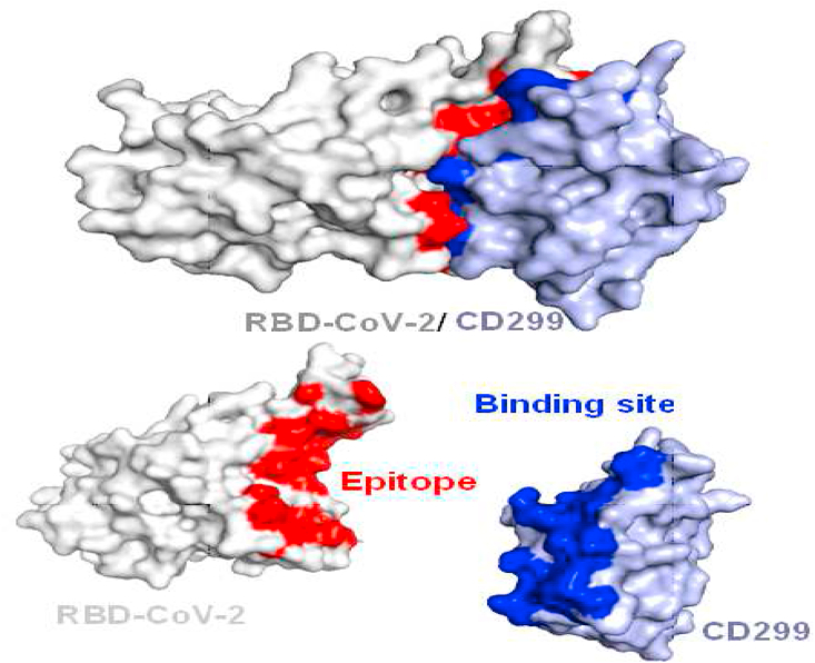 Figure 7