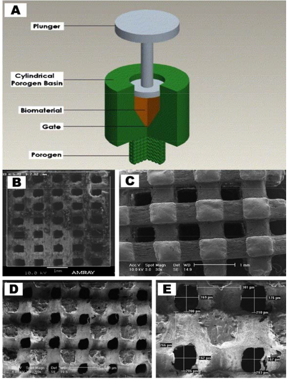 Figure 2 (Top Panel):