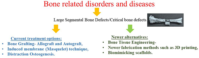 graphic file with name nihms-1642571-f0001.jpg