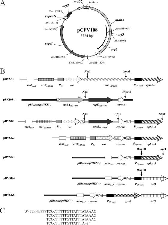 FIG. 3.