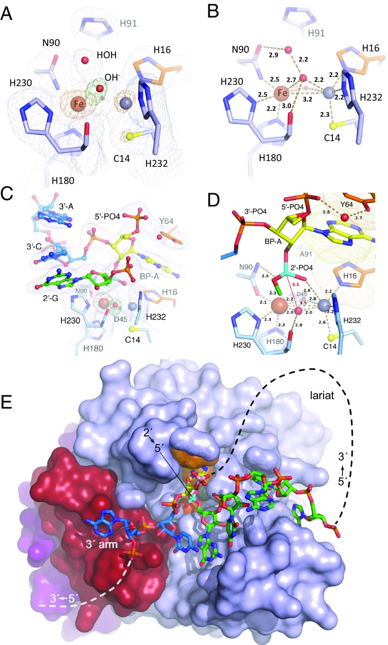 Fig. 3.