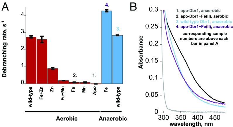 Fig. 2.