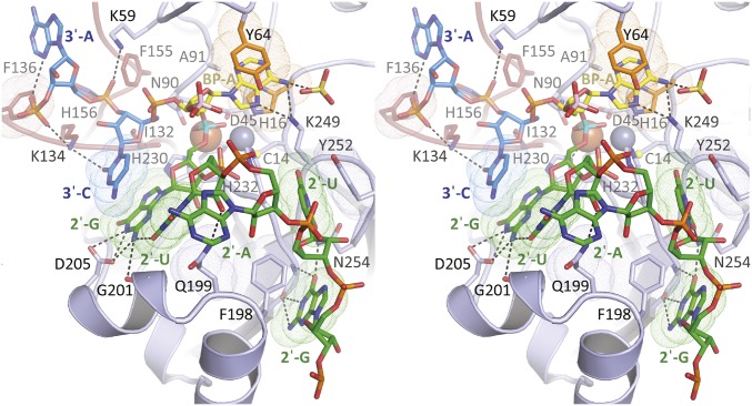 Fig. S6.