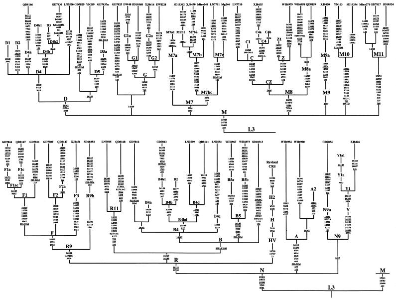 Figure  1