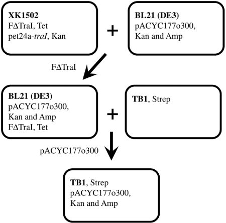 Figure 2.