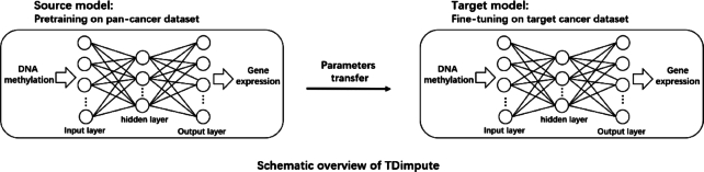 Figure 1: