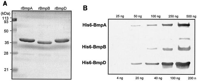 FIG. 5.