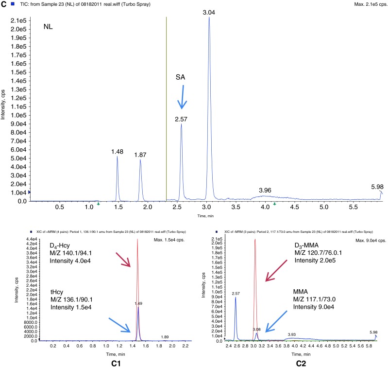 Fig. 3