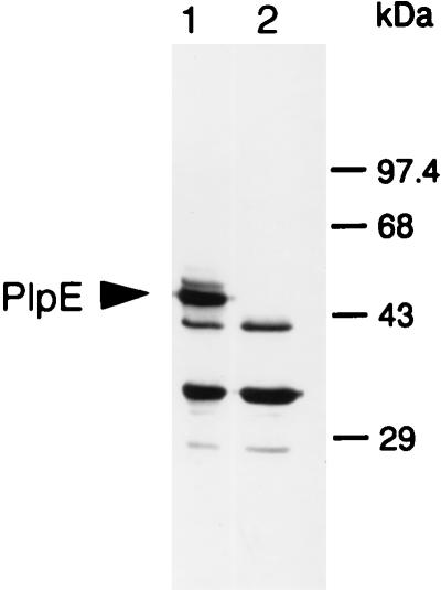 FIG. 5