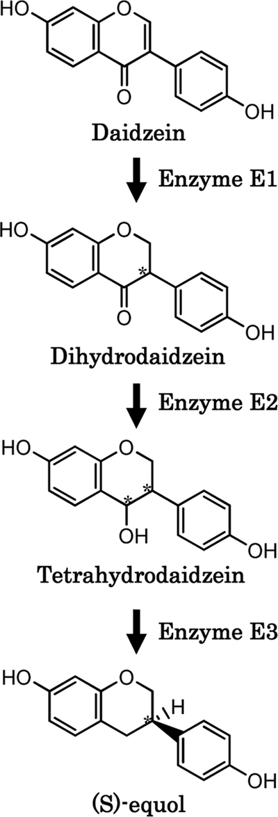 FIG. 9.