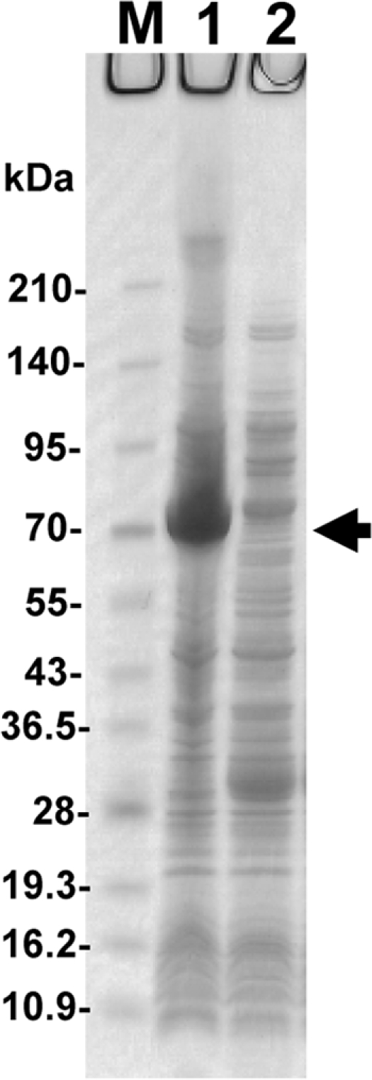 FIG. 6.