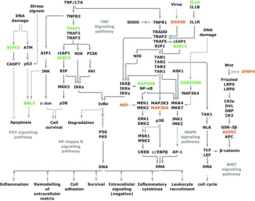 Fig. 4.