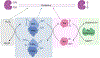 Figure 5: