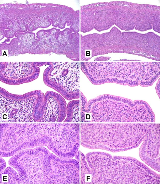 FIG. 5.