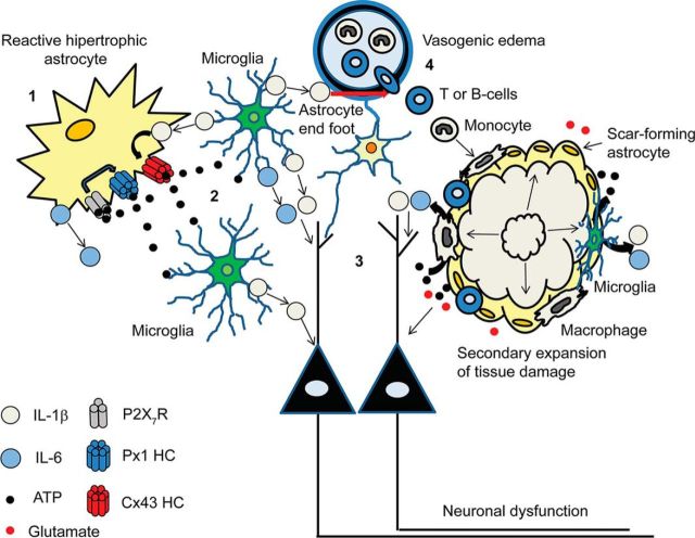 Figure 12.