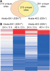 <b>FIG. 3.</b>