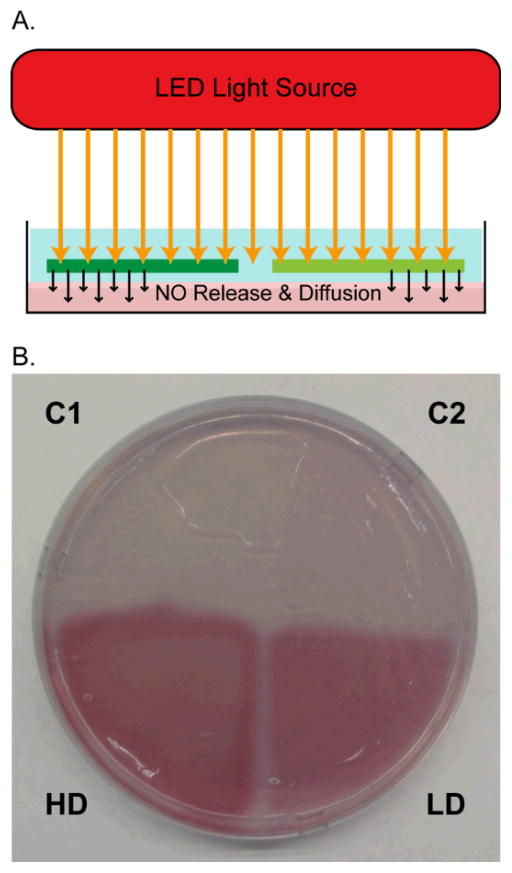 Fig. 4