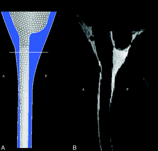 Fig 2.