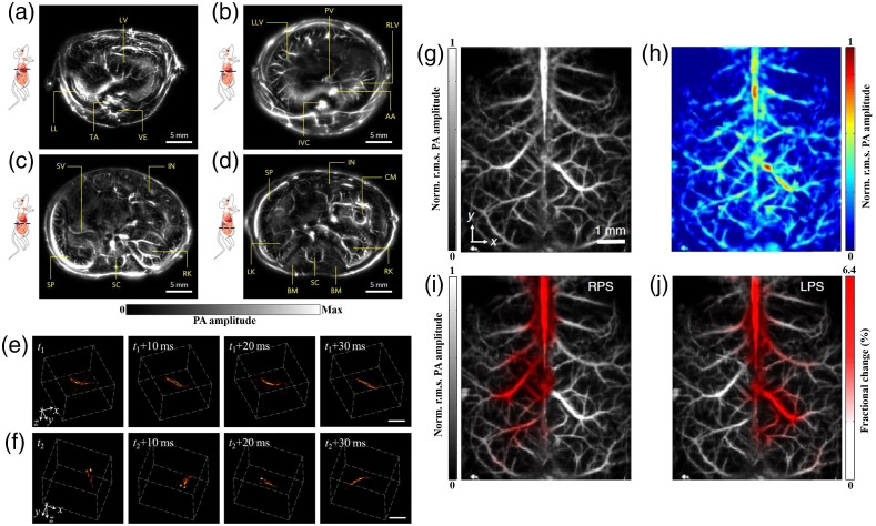 Fig. 4