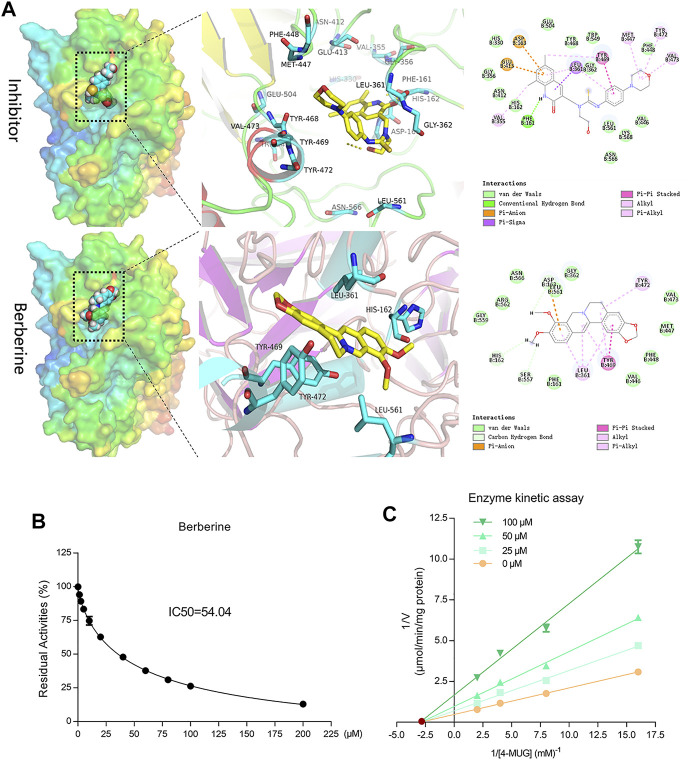 FIGURE 6