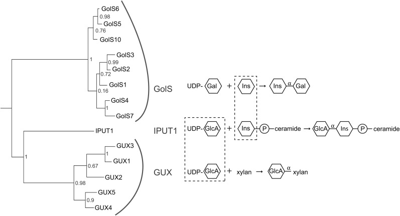 Figure 1.