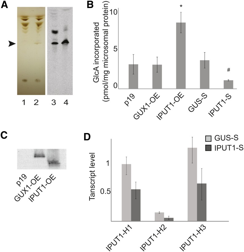 Figure 3.