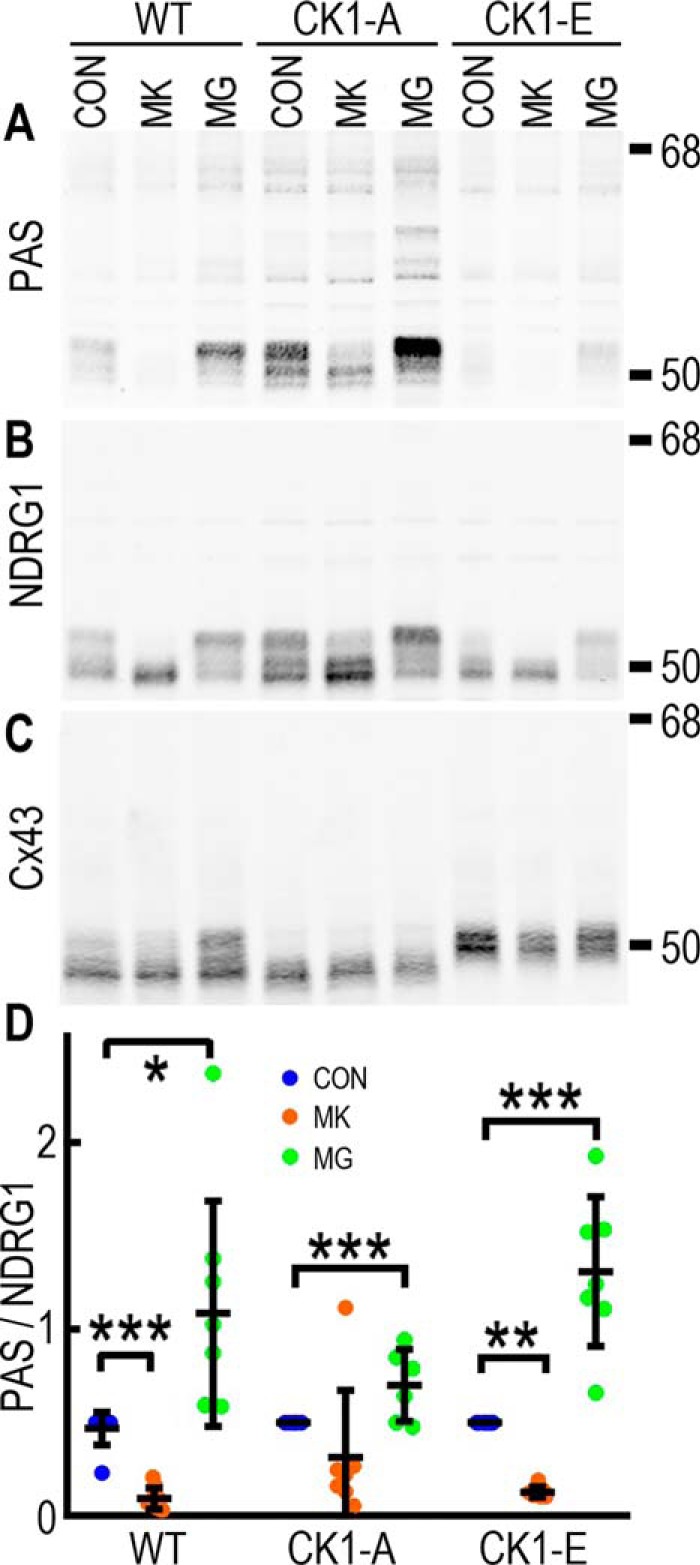 Figure 6.