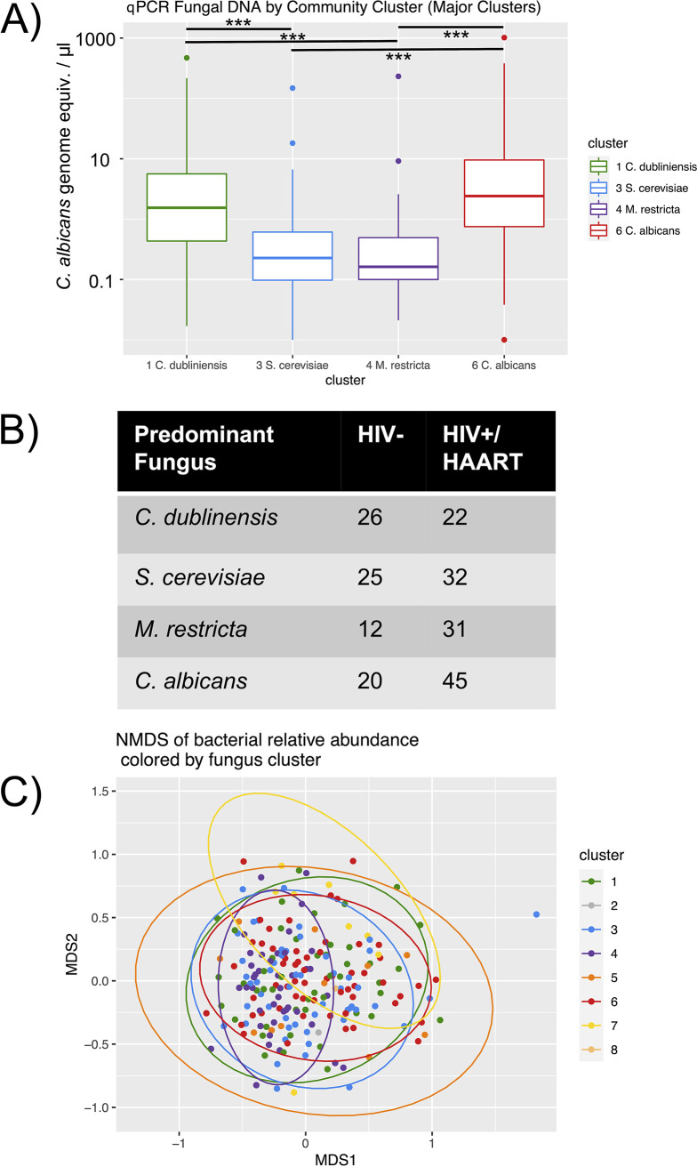 FIG 4