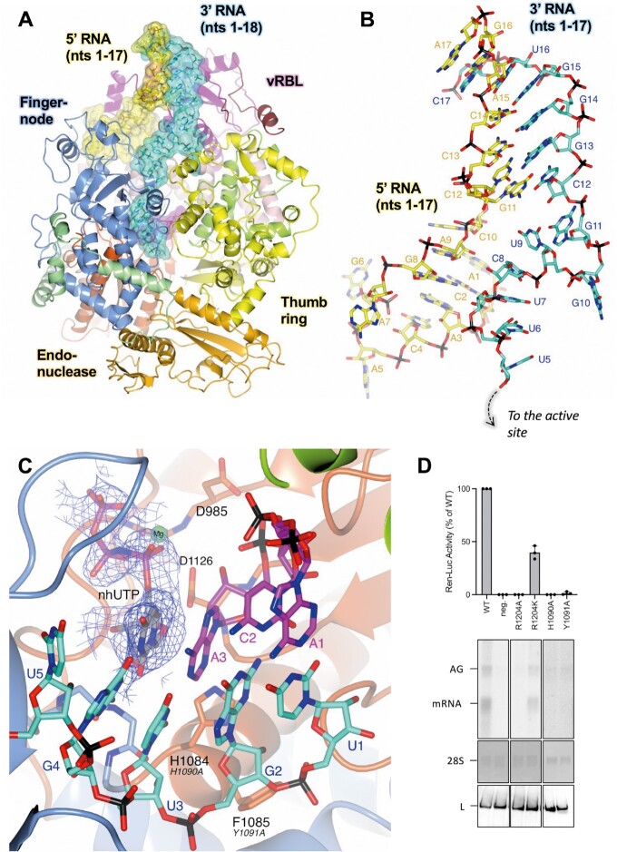 Figure 3.