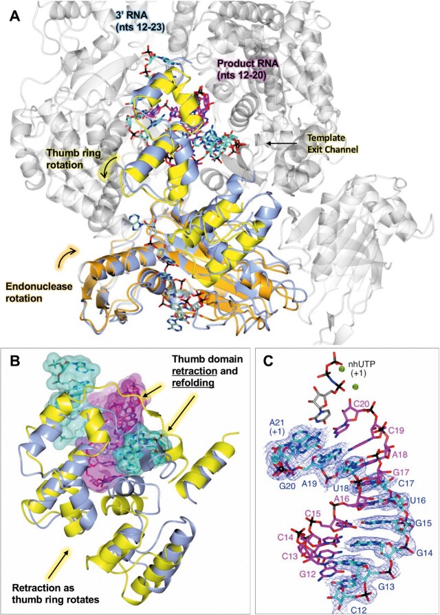 Figure 4.